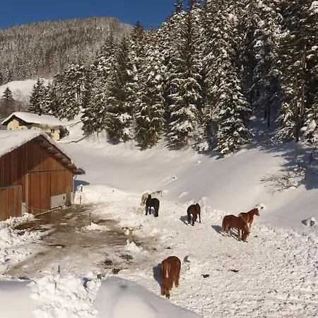 Saumerhof ファームステイ