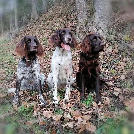 ファームステイ Saumerhof