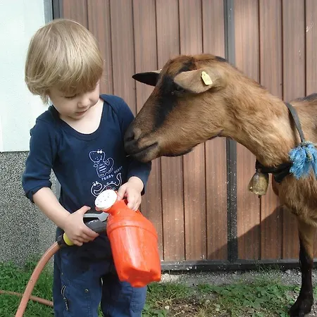 ファームステイ Saumerhof