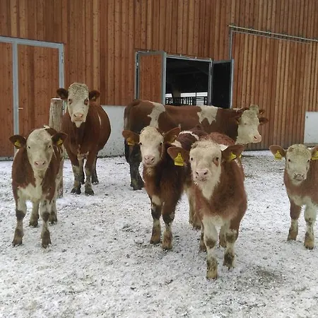 Saumerhof シュラートミンク