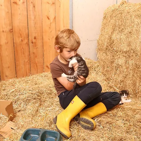 Saumerhof Alojamento de Turismo Rural