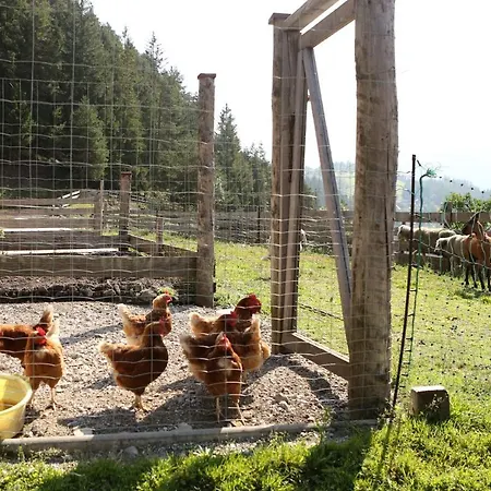 Saumerhof Gospodarstwo agroturystyczne *