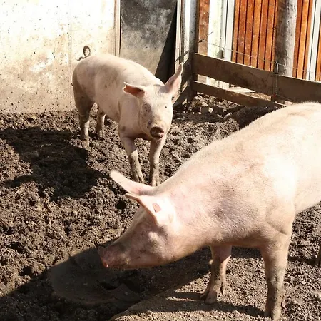 Bio Betrieb Saumerhof *