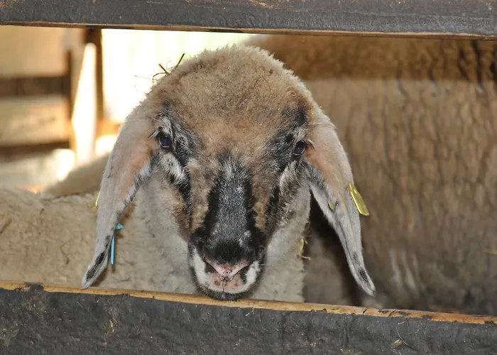 Фермерский дом Saumerhof