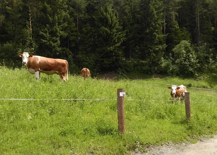 Saumerhof Schladming