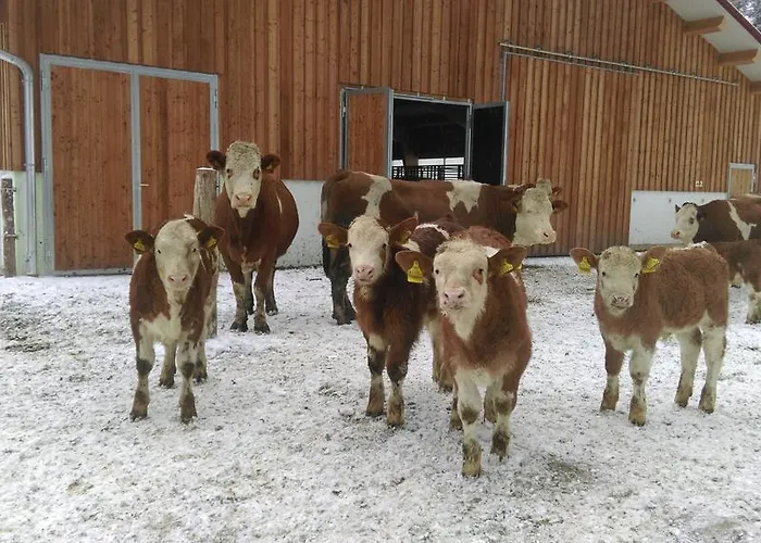 Saumerhof Шладминг