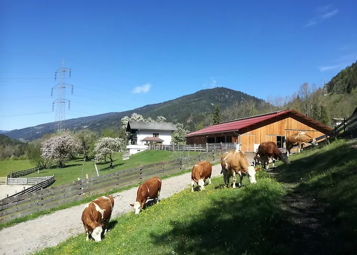 Saumerhof Farm stay *