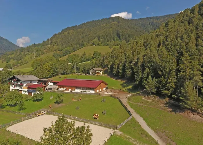 Saumerhof Фермерский дом