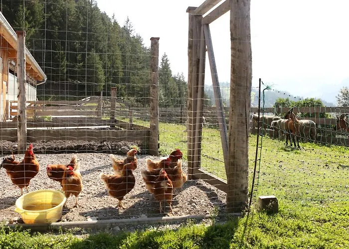 Saumerhof Farm stay *