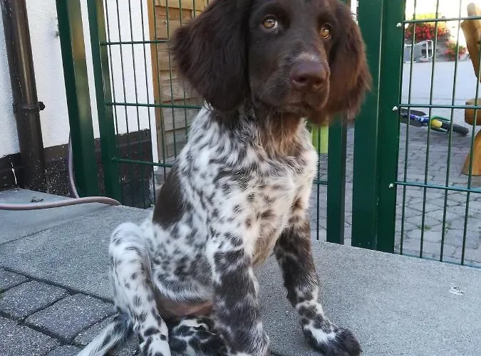 Saumerhof Schladming